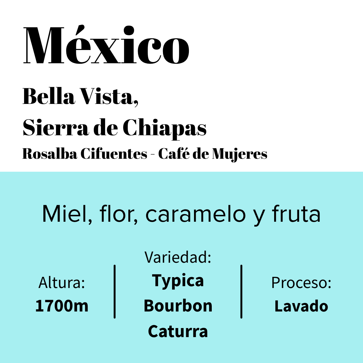 México - Bella Vista - Chiapas - Café de Mujeres -Lavado-0