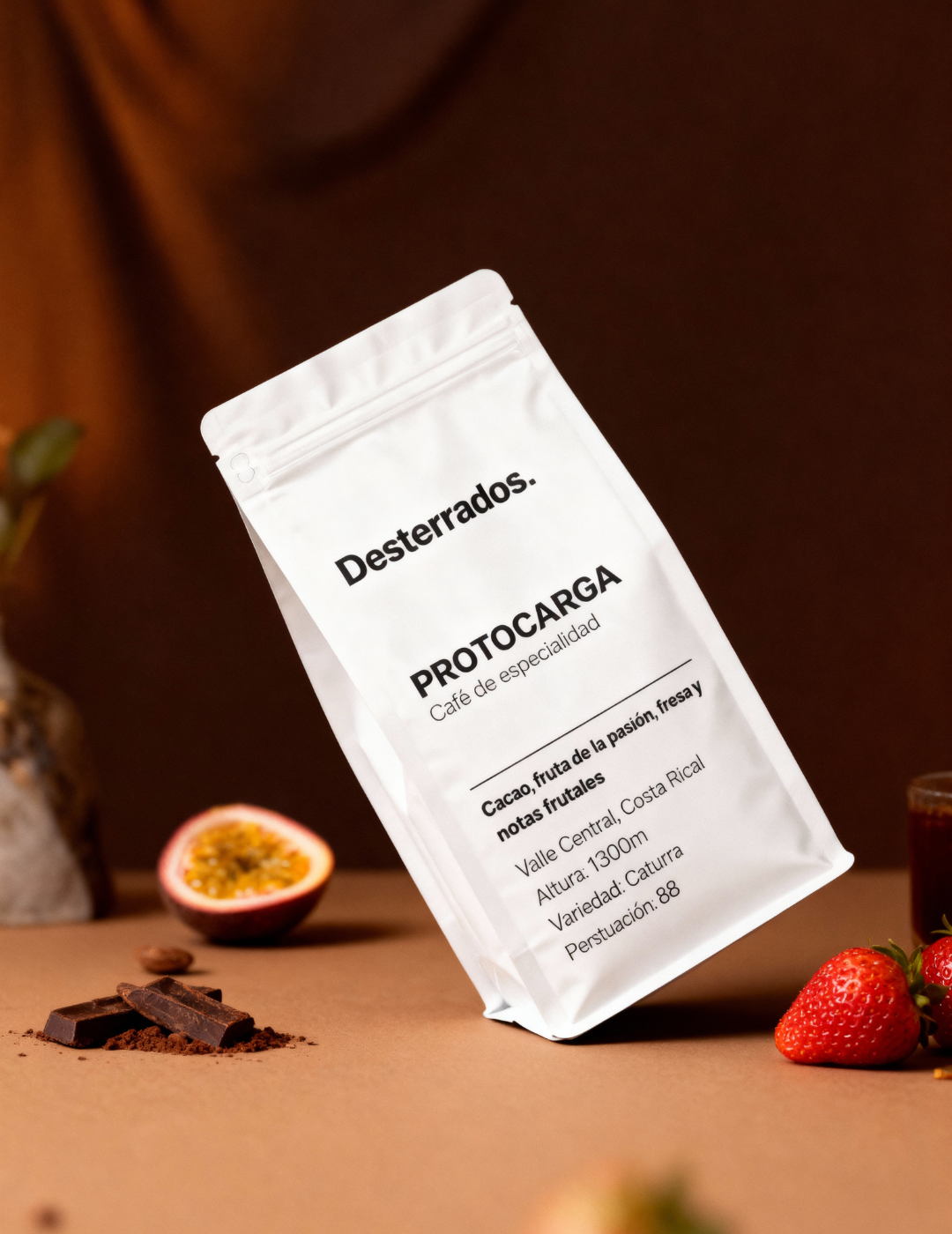 ProtoCarga - Costa Rica